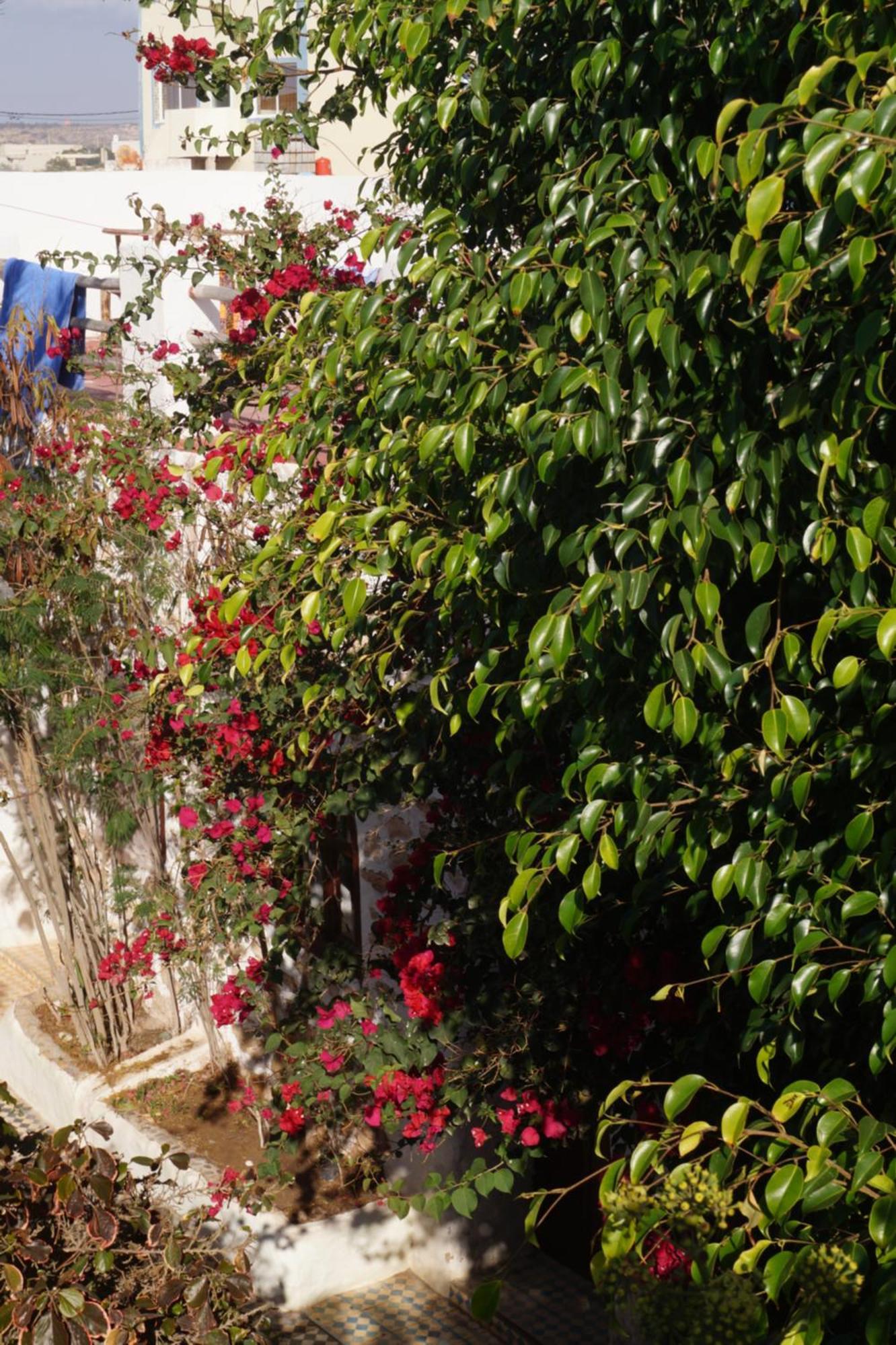 Perla 3* Sidi Kaouki